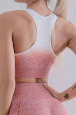 Gradient Sports Bra and Leggings Set - Ladyez