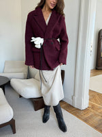 Fall Winter Scissors Collar Soft Woolen Long Elegant All Match Loose Maxi Dress