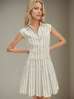 Striped Sleeveless Button Front Shirt Dress