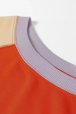 Color Block Round Neck Long Sleeve Sweatshirt