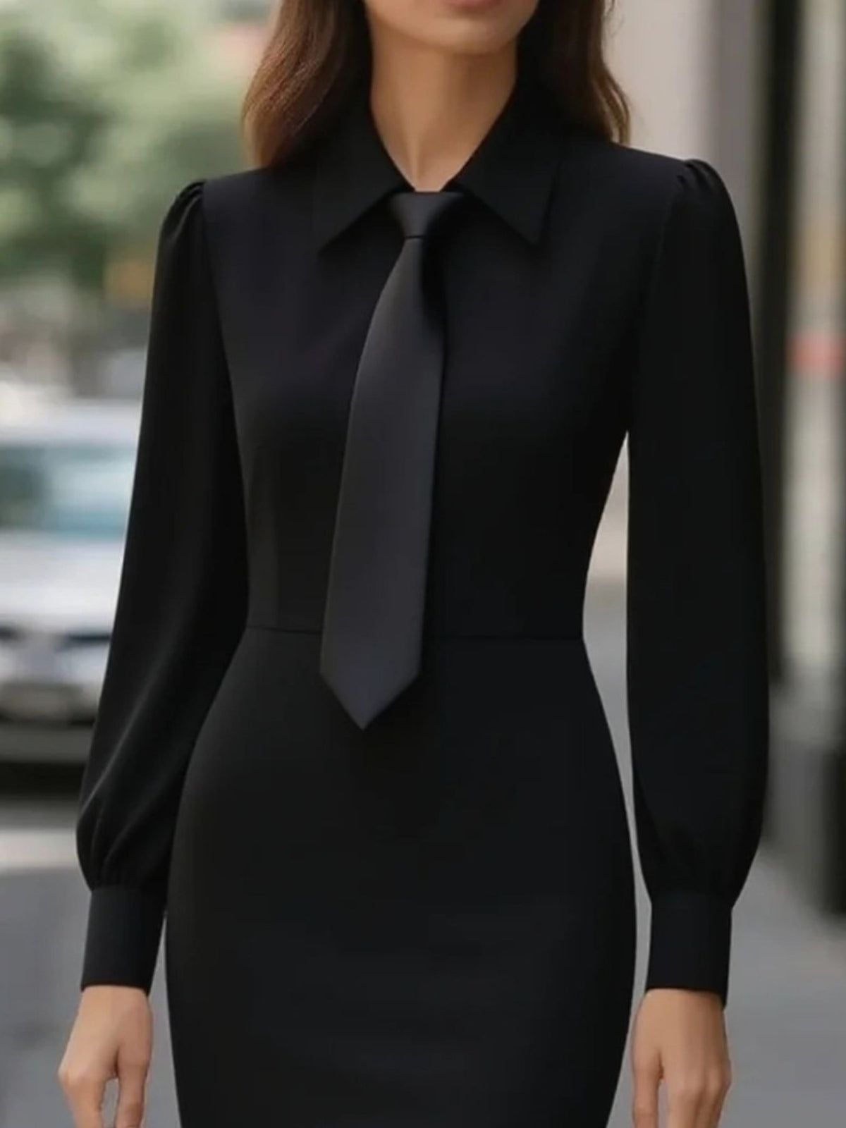 Tie-Neck Long Sleeve Dress
