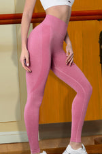 Wide Waist Sports Leggings - Ladyez