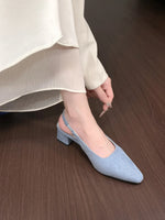 Point Toe Block Heel Pumps - Ladyez