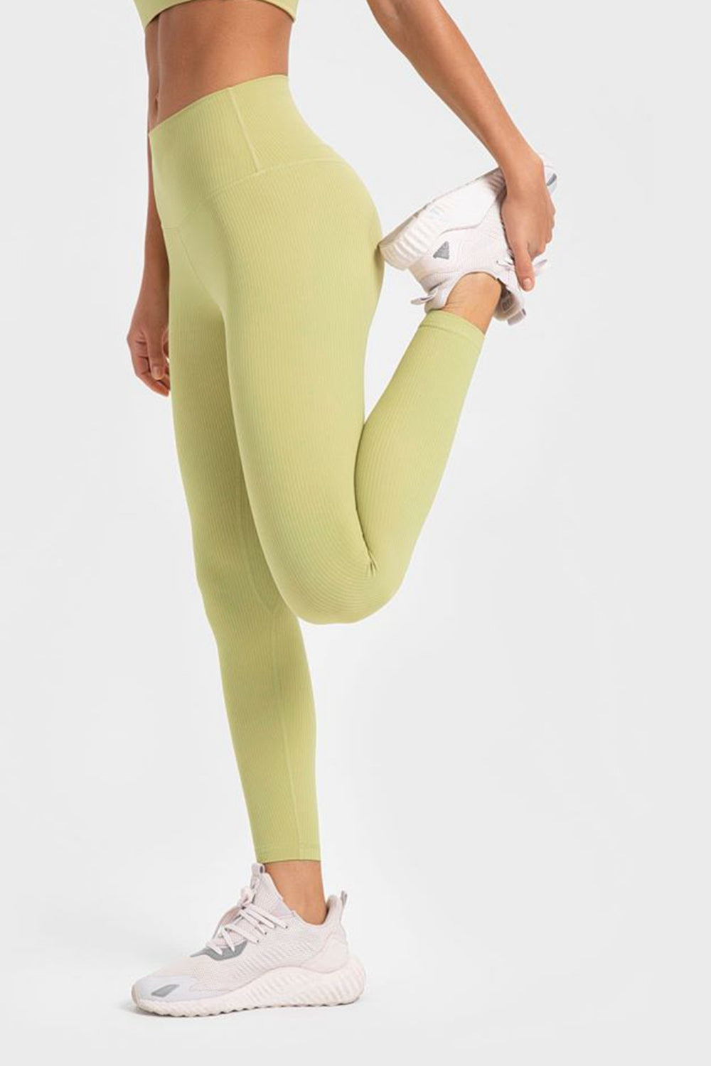 Millennia Highly Stretchy Wide Waistband Yoga Leggings - Ladyez
