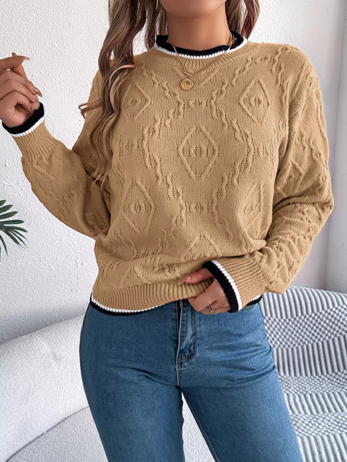 Contrast Trim Round Neck Sweater