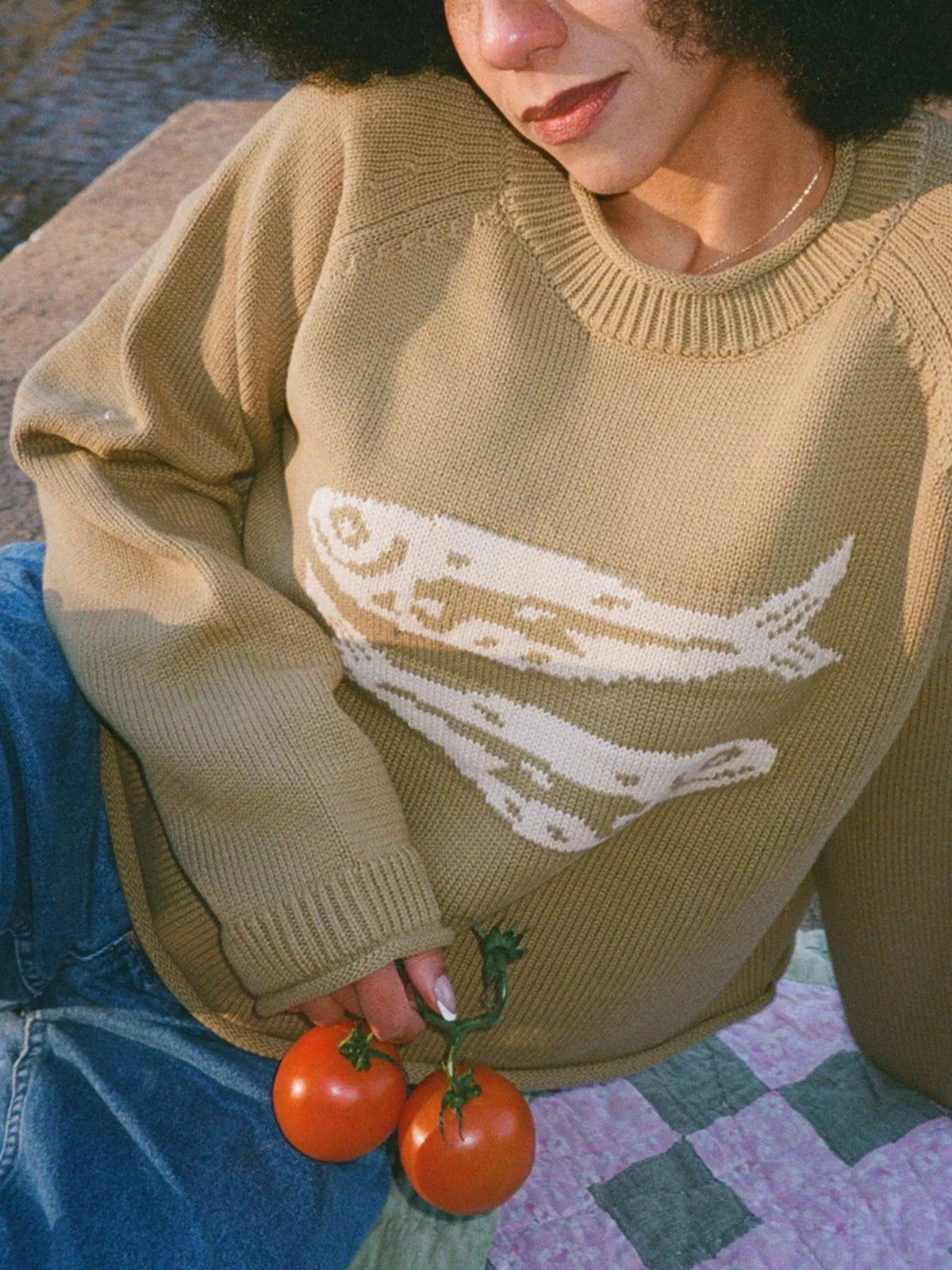 Fish Pattern Crew Neck Sweater