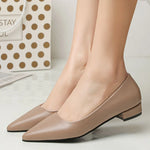 Pointed Toe Low Heel Pump