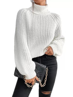 Chunky Knit Turtleneck Long Sleeve Sweater