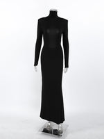Backless Turtleneck Long Sleeve Bodycon Maxi Dress