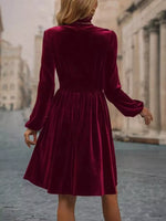 Velvet High Neck Long Sleeve A-Line Dress