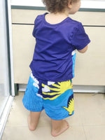 Children's Dinosaur Short Sleeve Tee and Shorts Set