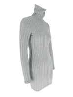 Turtleneck Ribbed Bodycon Mini Dress