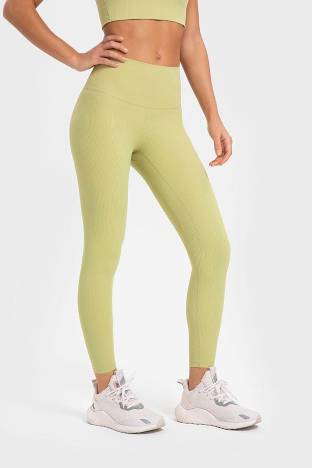 Millennia Highly Stretchy Wide Waistband Yoga Leggings - Ladyez