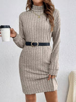 Casual Ribbed Turtleneck Long Sleeve Mini Dress