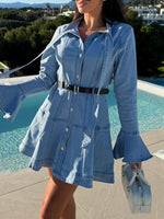 Button Front Flounce Sleeve Denim Dress