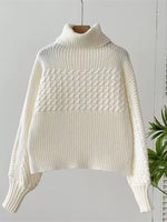 Textured Knit Turtleneck Long Sleeve Sweater