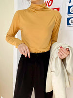 Solid Color Turtleneck Long Sleeve T-Shirt