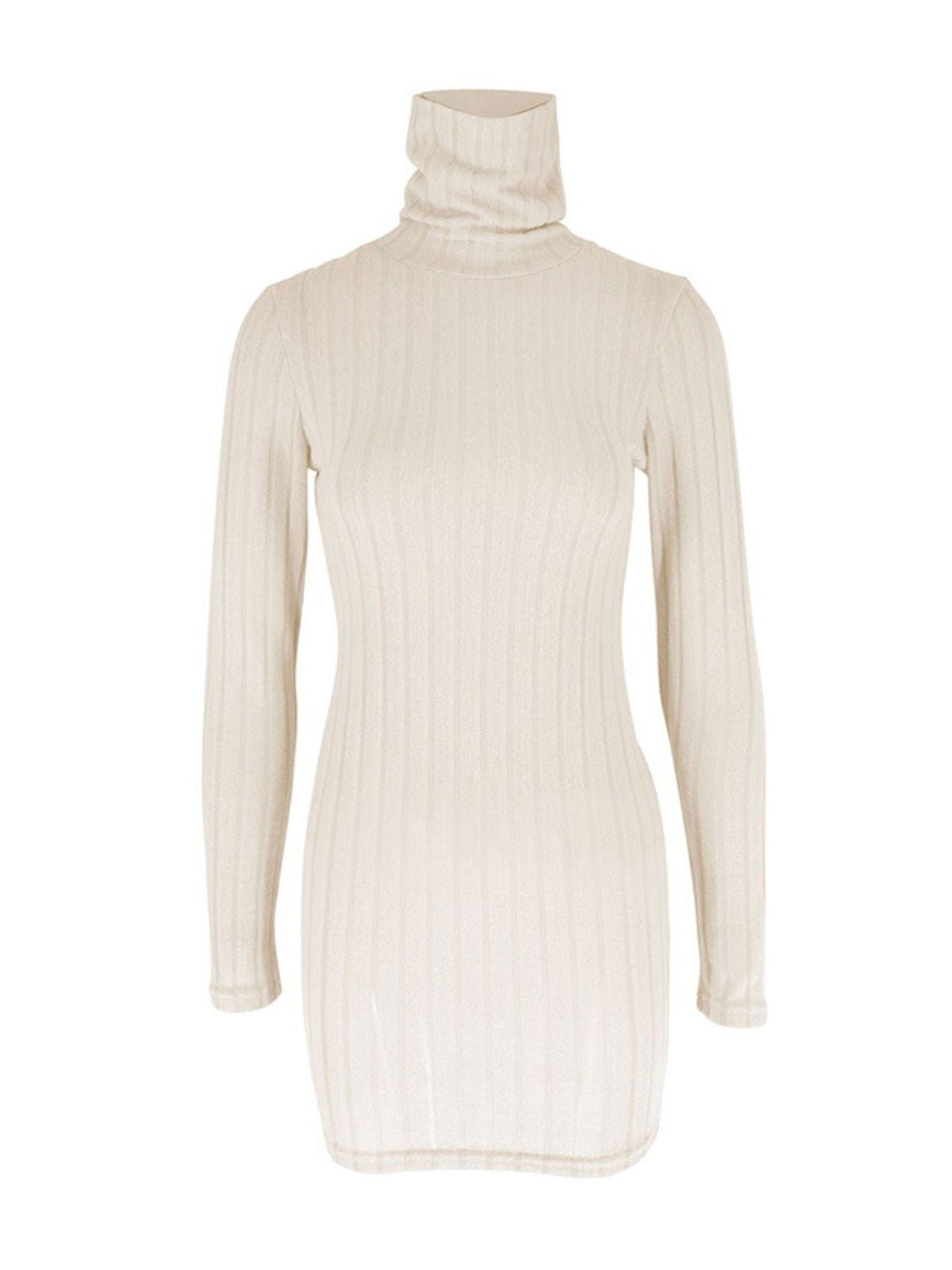 Turtleneck Ribbed Bodycon Mini Dress