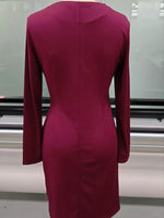 Front Ruched V-Neck Long Sleeve Dress