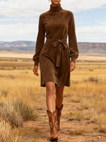 Bow Velvet Turtleneck Lantern Sleeve Dress