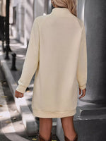 Texture Raglan Sleeve Mock Neck Dress