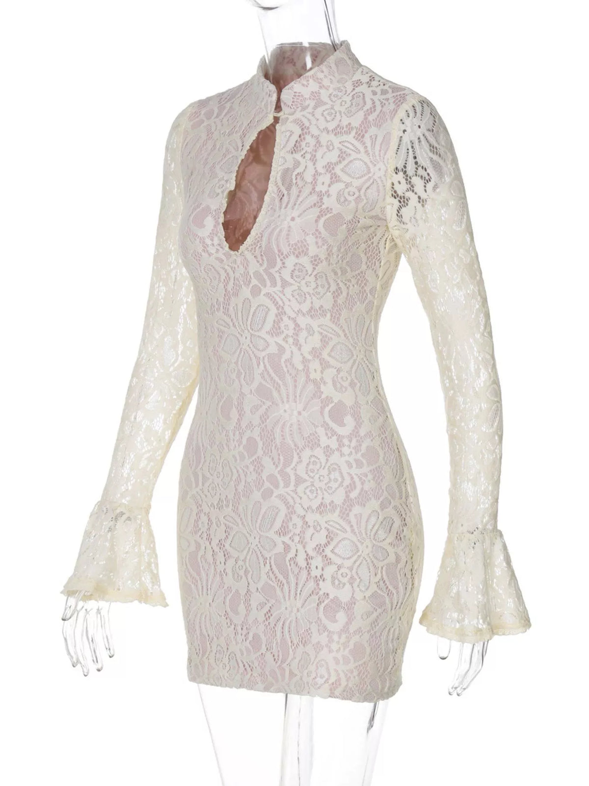 Lace Cutout Long Sleeve Mini Dress