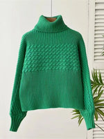 Textured Knit Turtleneck Long Sleeve Sweater