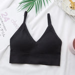 3Pcs/Set Women Sexy Crop Tops Seamless Bra Female Streetwear Sport Crop Top Tee Solid Color Underwear Lingerie Push Up Bra