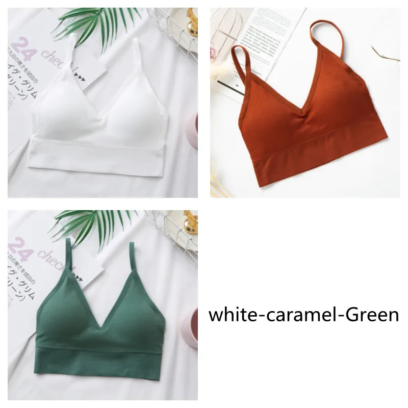 3Pcs/Set Women Sexy Crop Tops Seamless Bra Female Streetwear Sport Crop Top Tee Solid Color Underwear Lingerie Push Up Bra