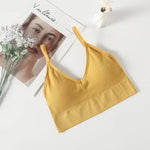 Crop Tops Women's Underwear Sexy Low Back Bralette Camis Non adjustable shoulder straps Bra Bandeau With breast pads Tank Vest
