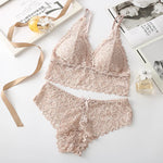 Women Lace Bra and Panties Set V-Neck Hollow Lace Underwear Set Embroidery Scallop Edge Bralette Sexy Lingerie Set Intimates