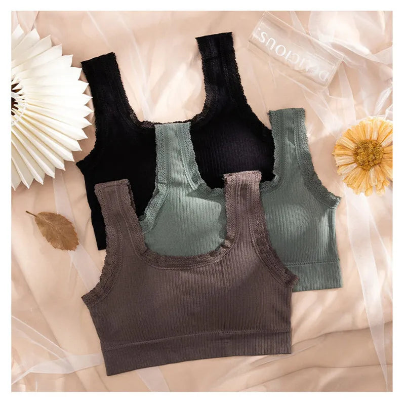 Women Wire Free Bra Removable Pad Bandeau Fixed Wide Lace Trim Strap Rib Tube Top Everyday Layering Intimates