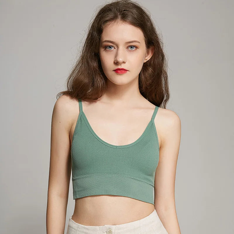 3Pcs/Set Women Sexy Crop Tops Seamless Bra Female Streetwear Sport Crop Top Tee Solid Color Underwear Lingerie Push Up Bra