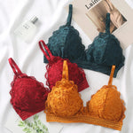 Women Lace Bralette Wirefree Sexy Lingerie Female Solid Color Brassiere Wireless Underwear V-Neck Push Up Bras For Women
