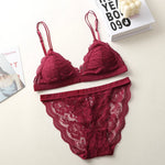 Women Lace Bra And Panties Set Embroidery Lace Bralette Underwear Set Push Up Brassiere Low Briefs Female Sexy Lingerie Set