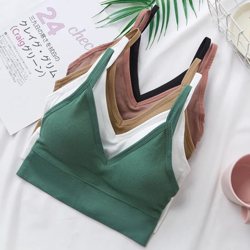 3Pcs/Set Women Sexy Crop Tops Seamless Bra Female Streetwear Sport Crop Top Tee Solid Color Underwear Lingerie Push Up Bra