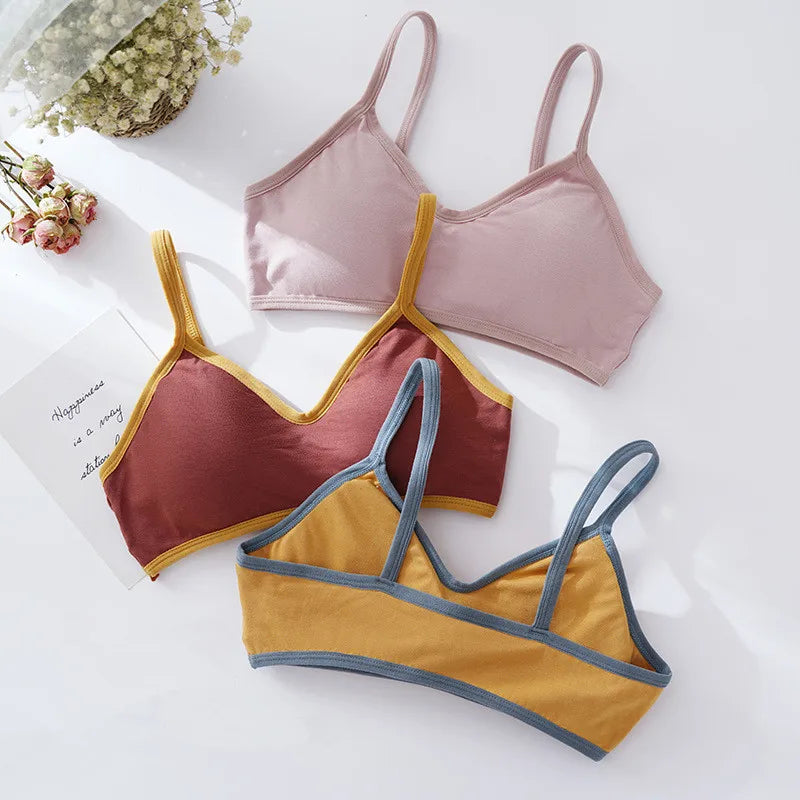 Women Wireless Bra Comfort Cotton Fabric Padded Bras Sexy Lingerie Small Cup Tube Top Removable Pads Brassiere One Size
