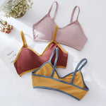 Women Wireless Bra Comfort Cotton Fabric Padded Bras Sexy Lingerie Small Cup Tube Top Removable Pads Brassiere One Size
