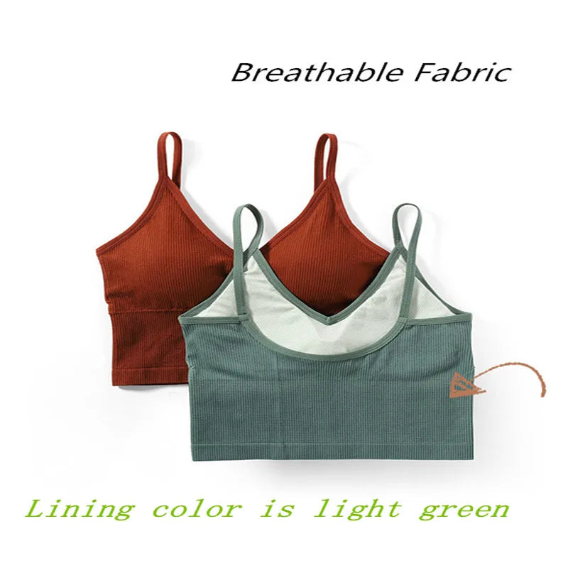 Women Tank Tops Sports Cropped Low Back Bralette Seamless Underwear Female Crop Top Sexy Lingerie Padded Camisole