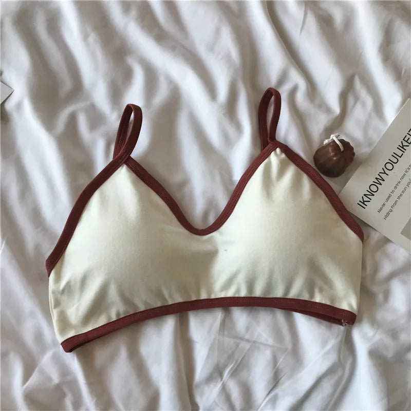 Women Wireless Bra Comfort Cotton Fabric Padded Bras Sexy Lingerie Small Cup Tube Top Removable Pads Brassiere One Size