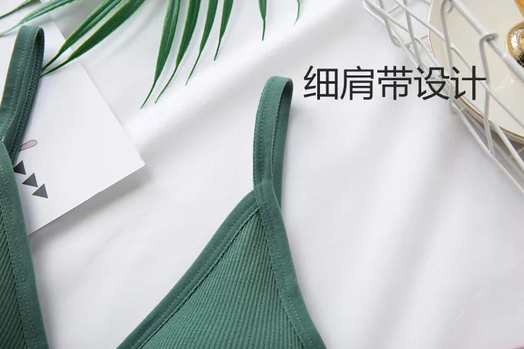 3Pcs/Set Women Sexy Crop Tops Seamless Bra Female Streetwear Sport Crop Top Tee Solid Color Underwear Lingerie Push Up Bra