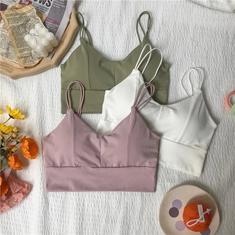 Cotton Tube Tops Women Bra Crop Top Female Wireless Solid Color Top Sleeveless Sexy Lingerie Padded Underwear