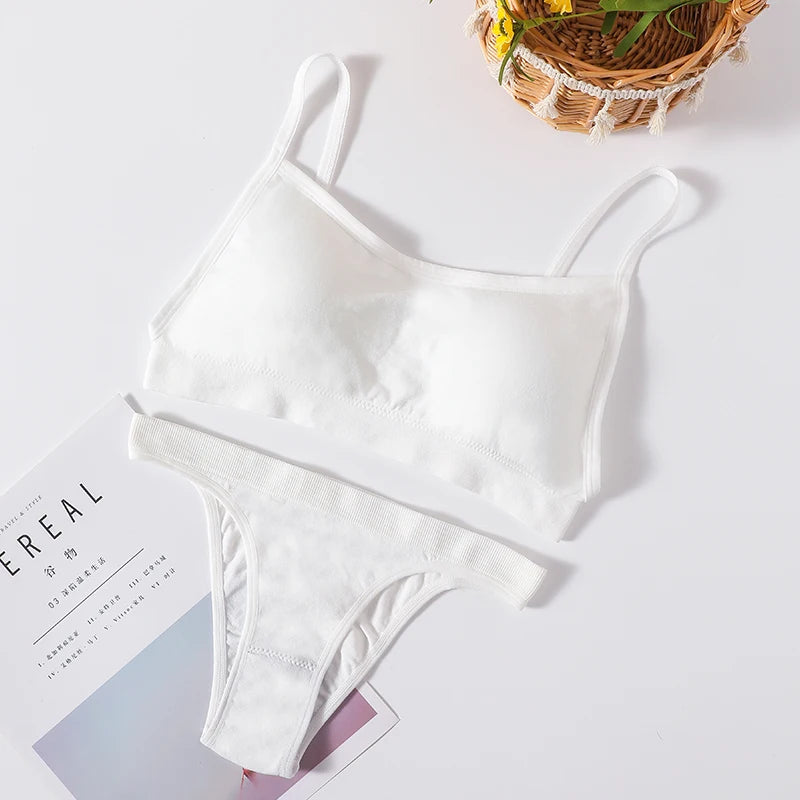Women Seamless Bra And Panties Set Sexy High Waist Briefs Wire Free Bra Female Sexy Underwear Brazilian Panties Lingerie Set