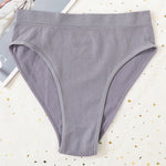 2Pcs/Set Seamless Panties High Waist Briefs Women High Leg Cut Panties Female Underpants Sexy Lingerie Solid Color Underwear S-L
