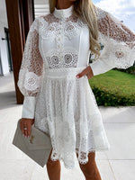 Sexy Lace Long Sleeve Dress
