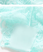 Women's Briefs Sexy Lace Mesh Panties Perspective Underwear Low Waist Solid Color Briefs Breathable Intimates Female Lingerie