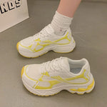 Spring Autumn Breathable Mesh Sneakers Women Mix Color Lace Up Sports Shoes Woman Wear Resistant Platform Casual Shoes Mujer