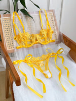 Conjunto de lencería con bordado Floral para mujer, sujetador transparente y ropa interior breve, ropa interior íntima Sexy de s