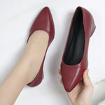 2026 Women Pointed Toe High Heels Shoes New Fashion Pumps Outdoor Anti-slip Designer Shoes Elegant Shoes