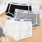 Fashion Letter Waistband Seamless Casual Short Panties Comfort Ribbed Ladies Boyshort Summer Daily Basic Stretch Underwear